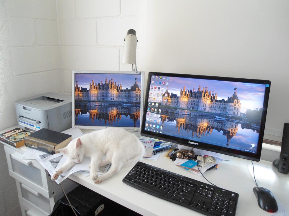 SassyCat_Desk