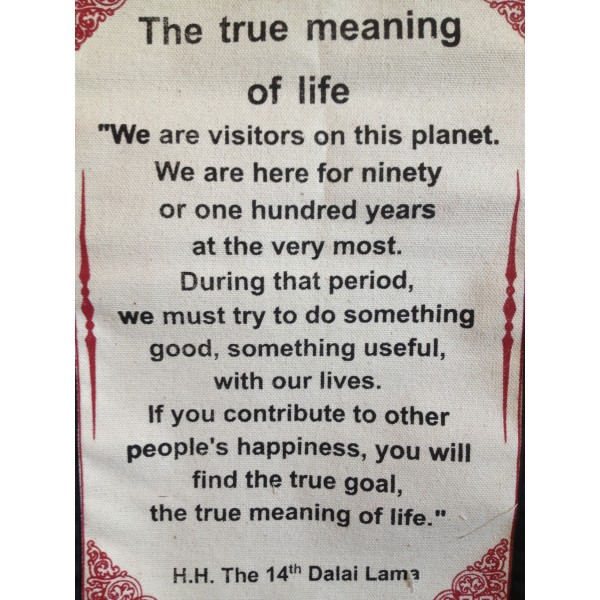 54328-true-meaning-life-quotes