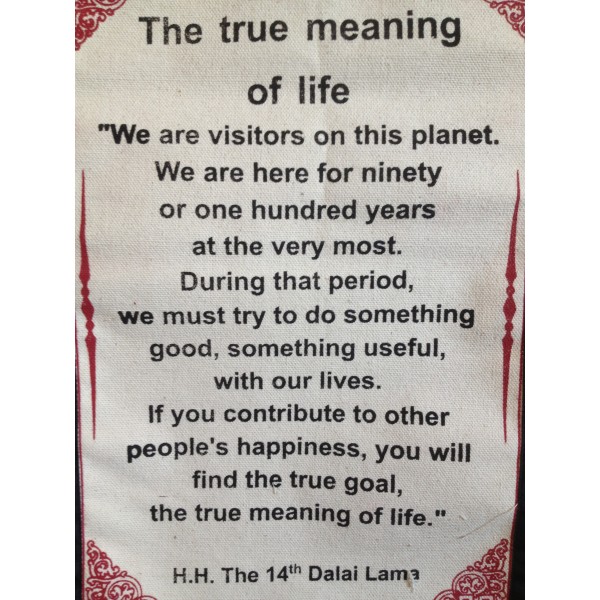 54328-true-meaning-life-quotes